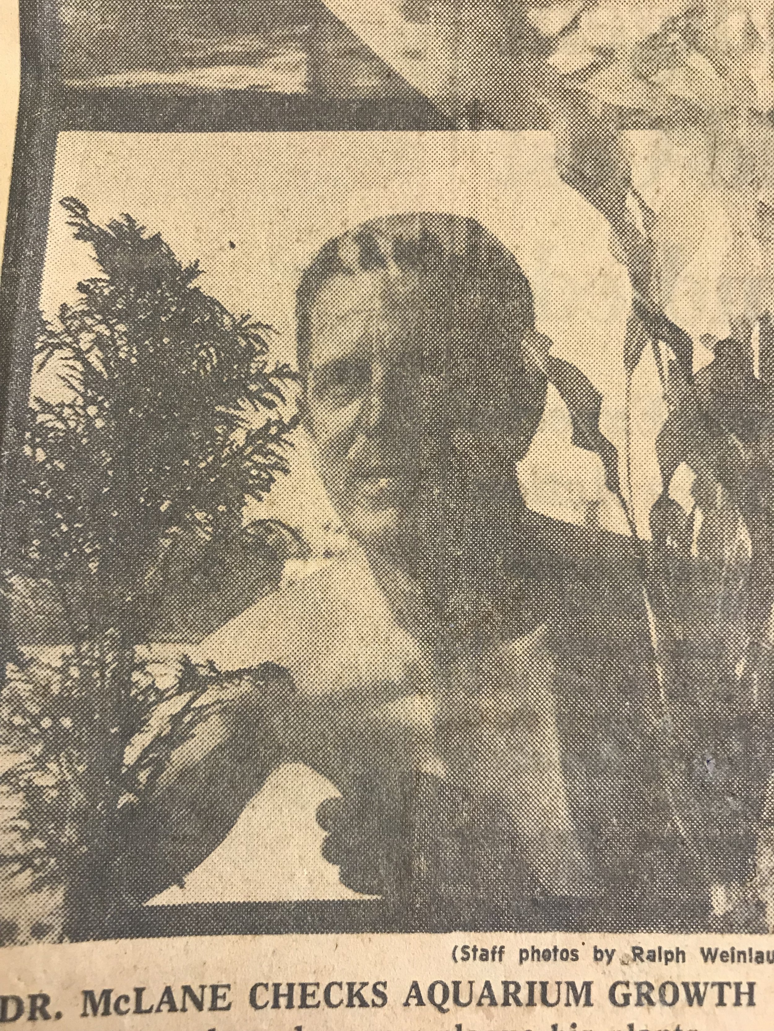 Dr. William McLane in an old newspaper clipping