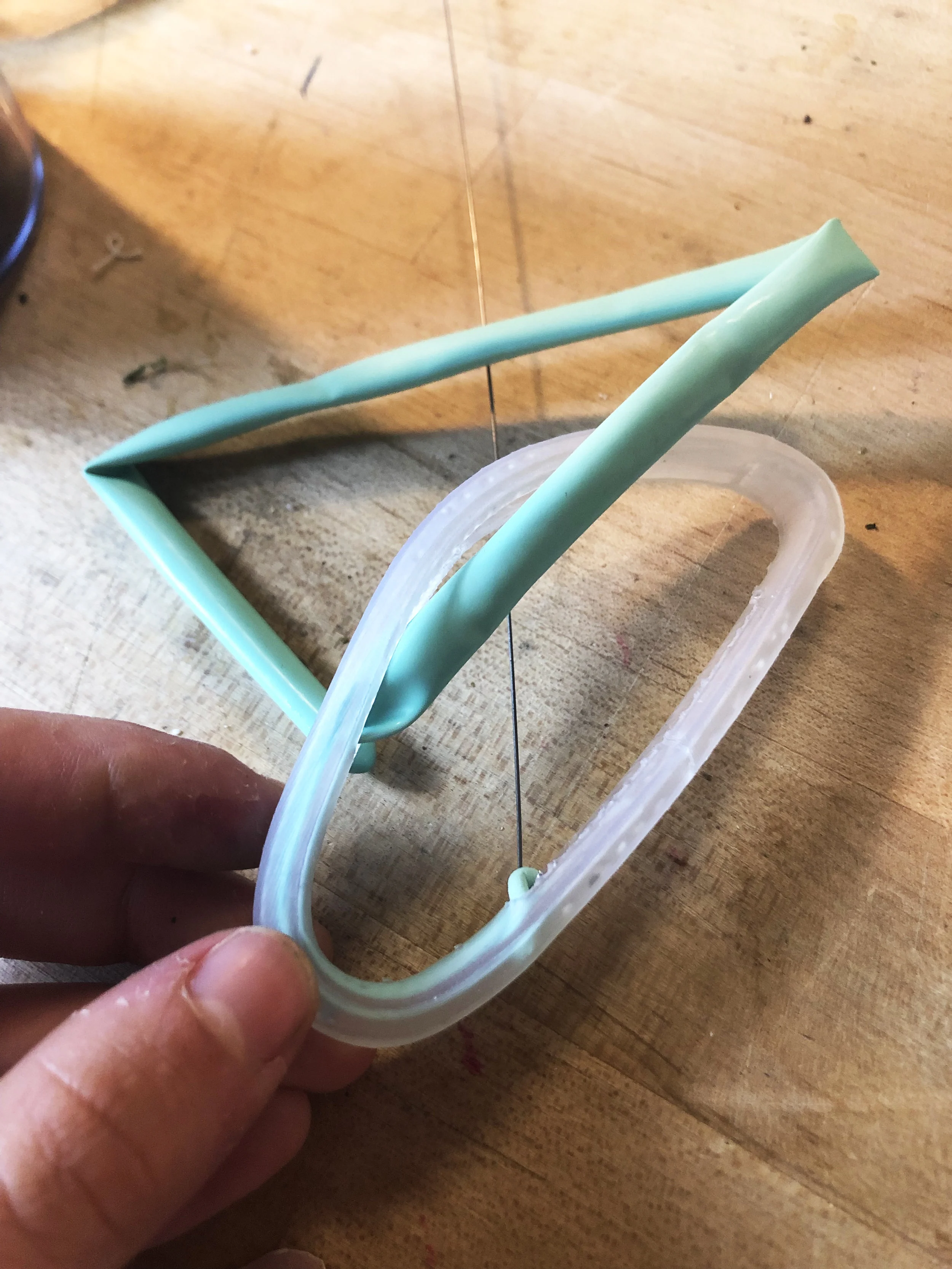 wearable prg.jpg