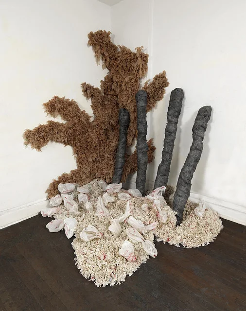 Toby Zallman