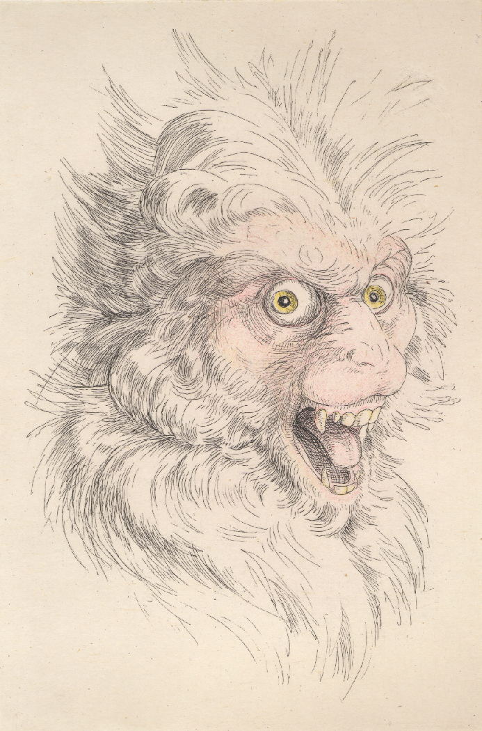  Laurie Hogin,  Chicago Portraits: Head of an Official (Monkey) , Etching, aquatint, and chine colle, paper size 11 x 15", image size 6 x 9”, 2007    