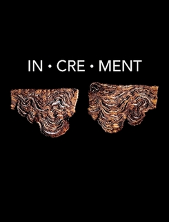 Increment