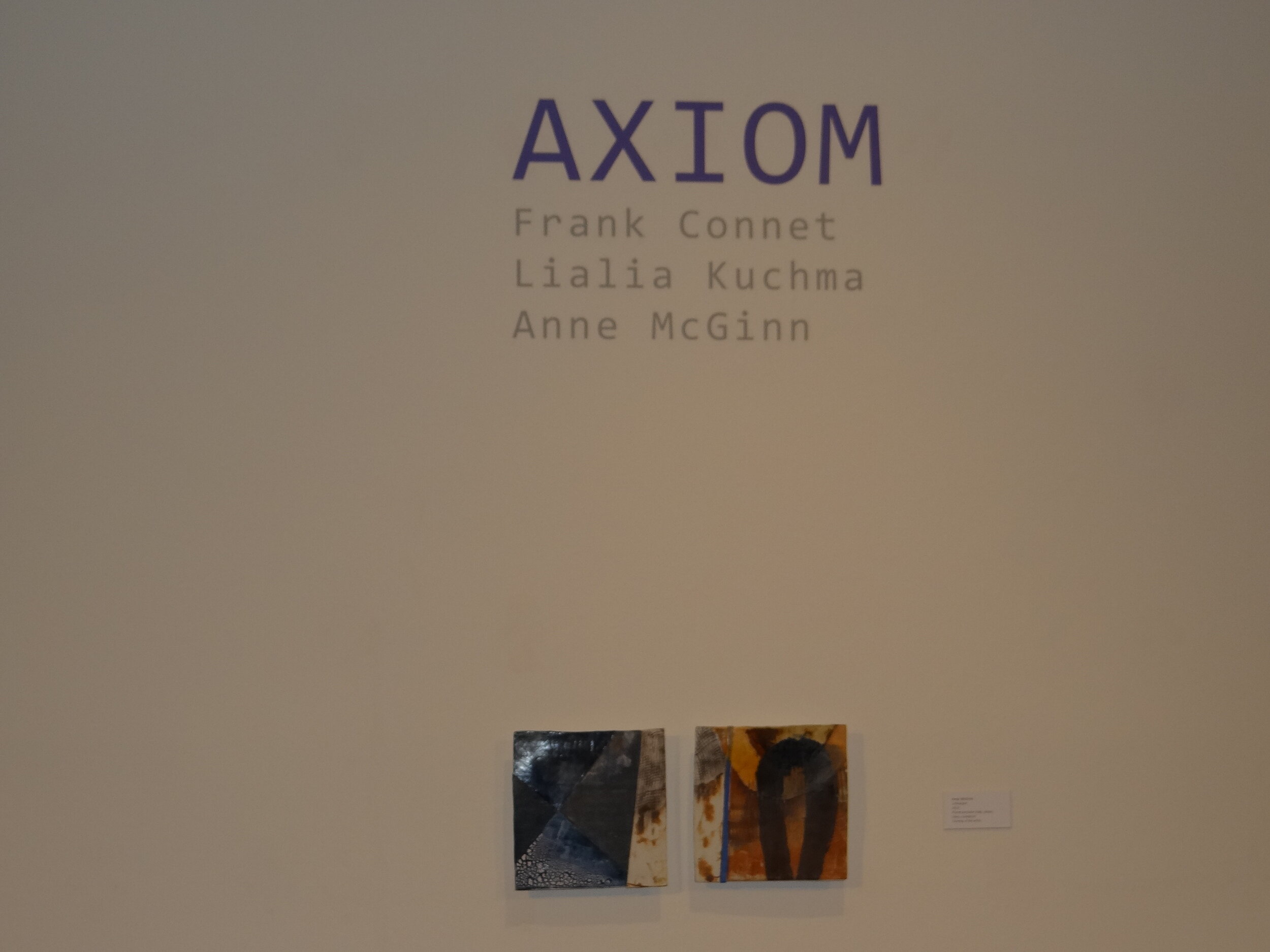 axiom-opening-reception_29756620663_o.jpg