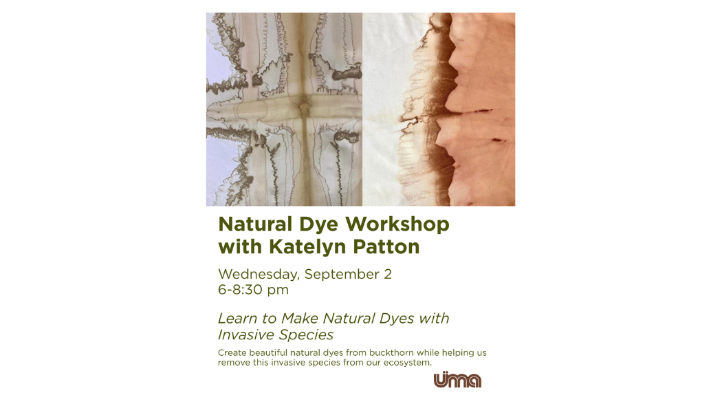 Natural Dye Workshop