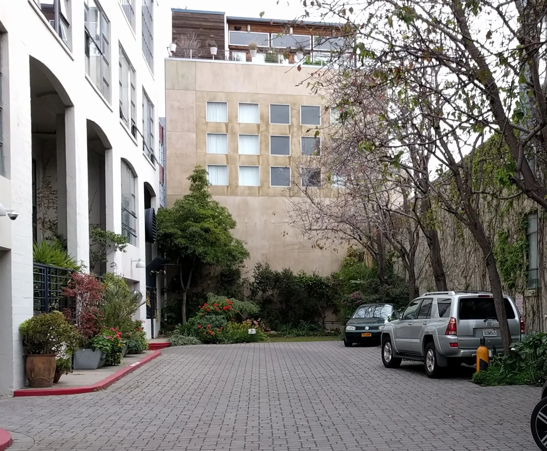 Creating a Courtyard for Contemplation Out of an Alleyway