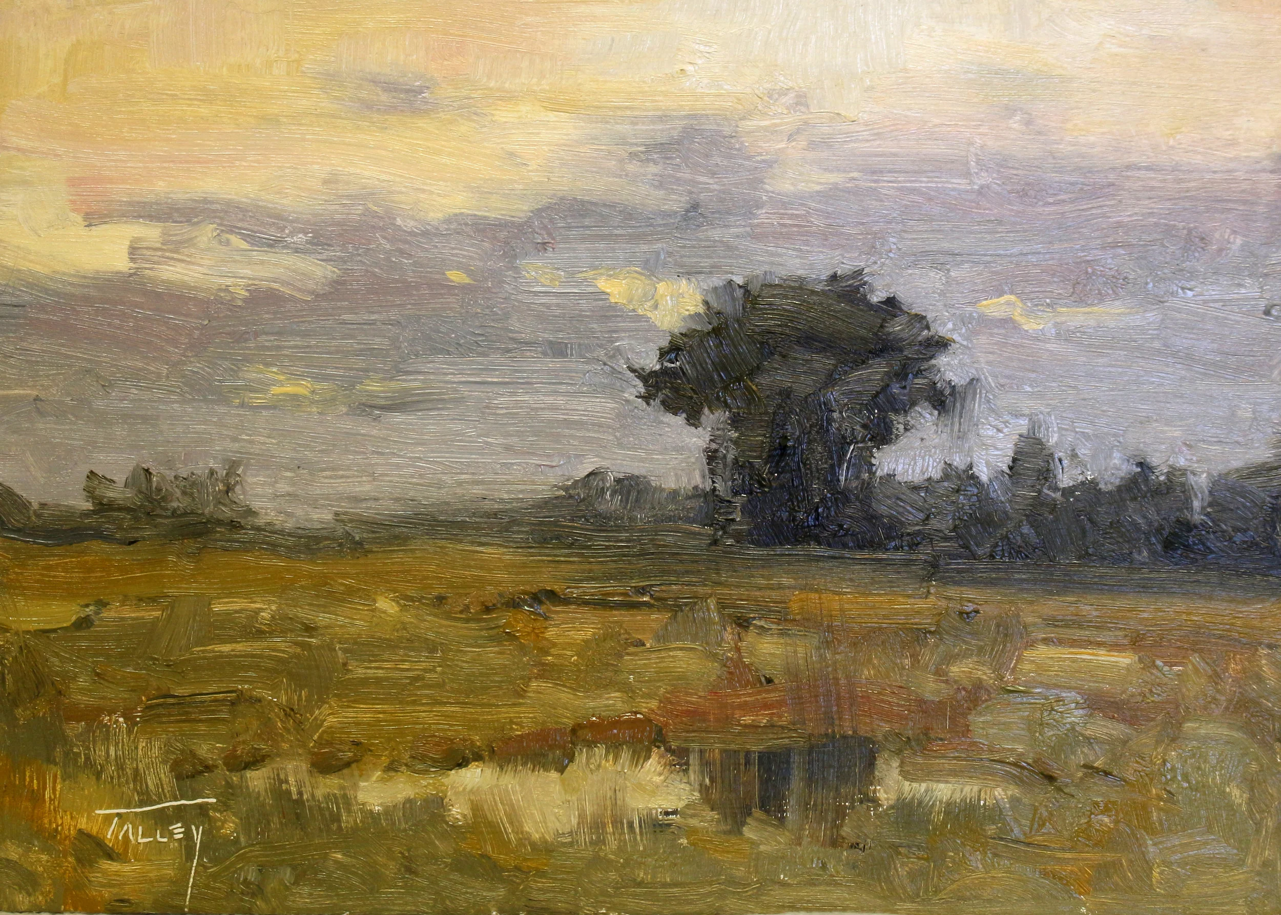 Eaton’s Country by Steve Talley