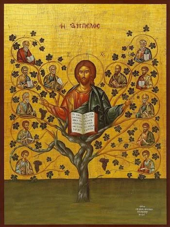 Episode 25 - Fr Brad Elliott O.P. : Is There Such a Thing As Catholic Economics? Is Economics a Science?