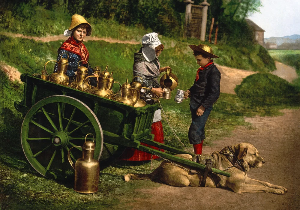 dogcart.jpg