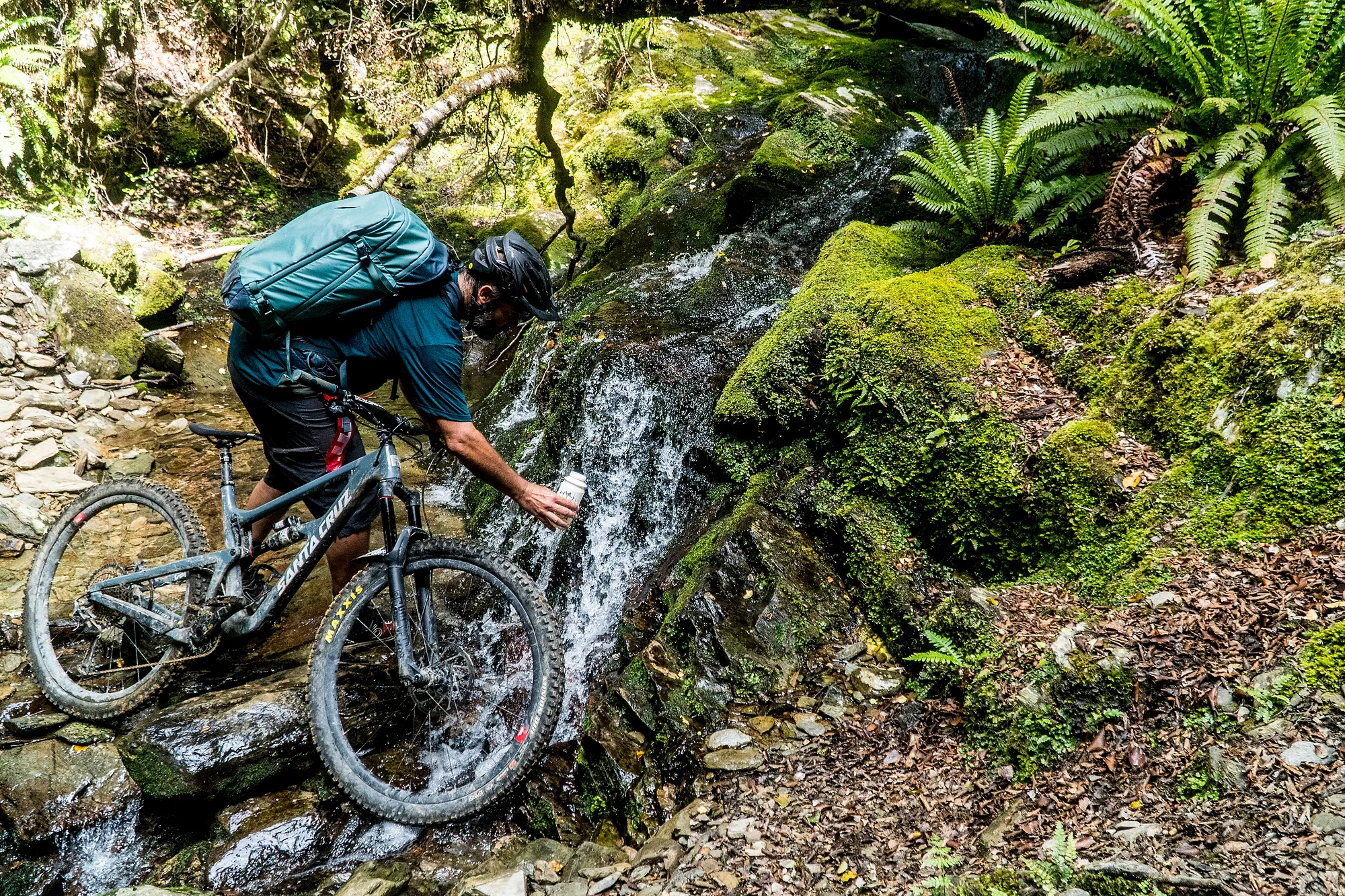 NZ_DSC3662.jpg
