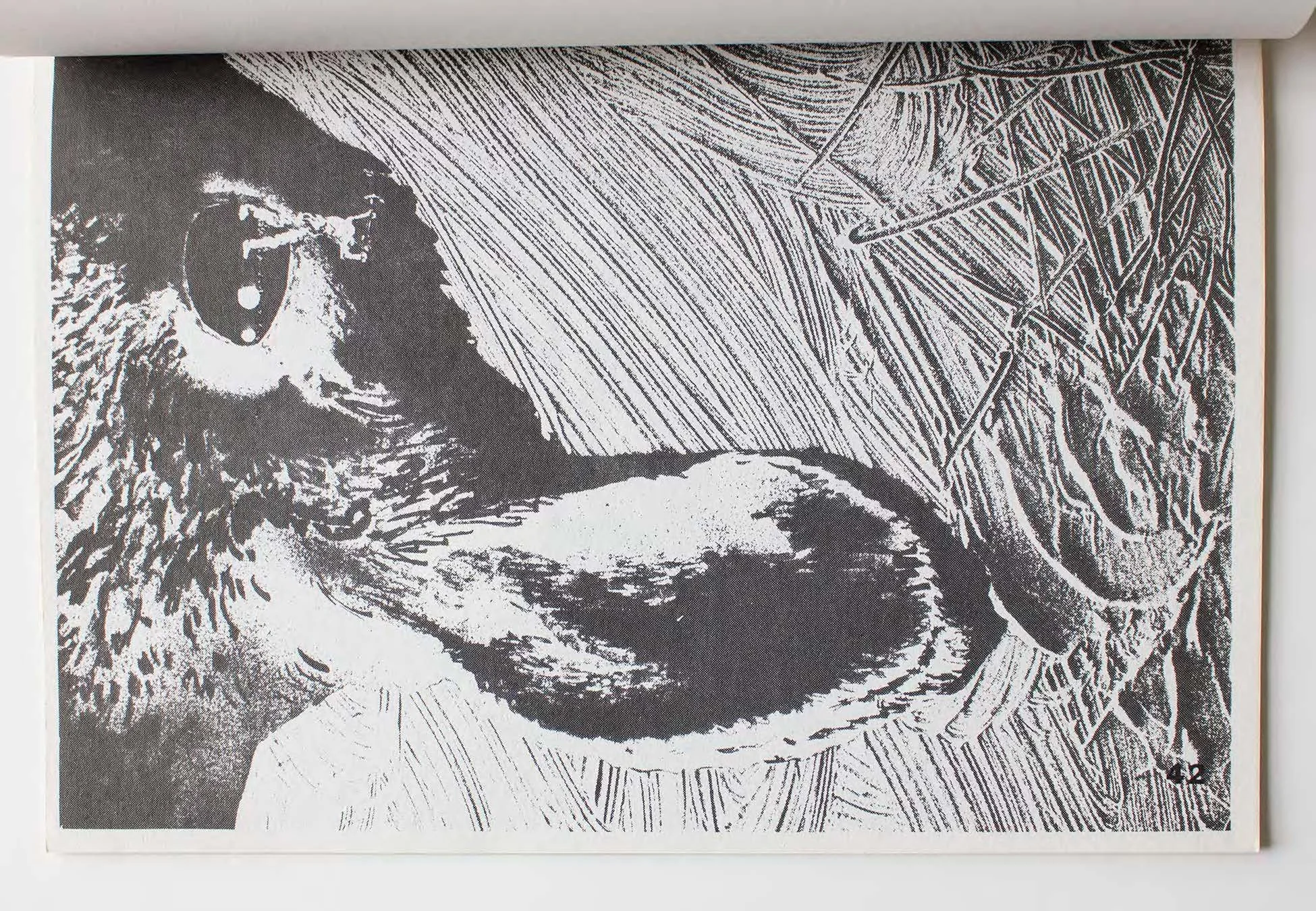1983_ Peter Halley - New Observations - Science Fiction Exhibition catalogue - lo res_Page_49.jpg