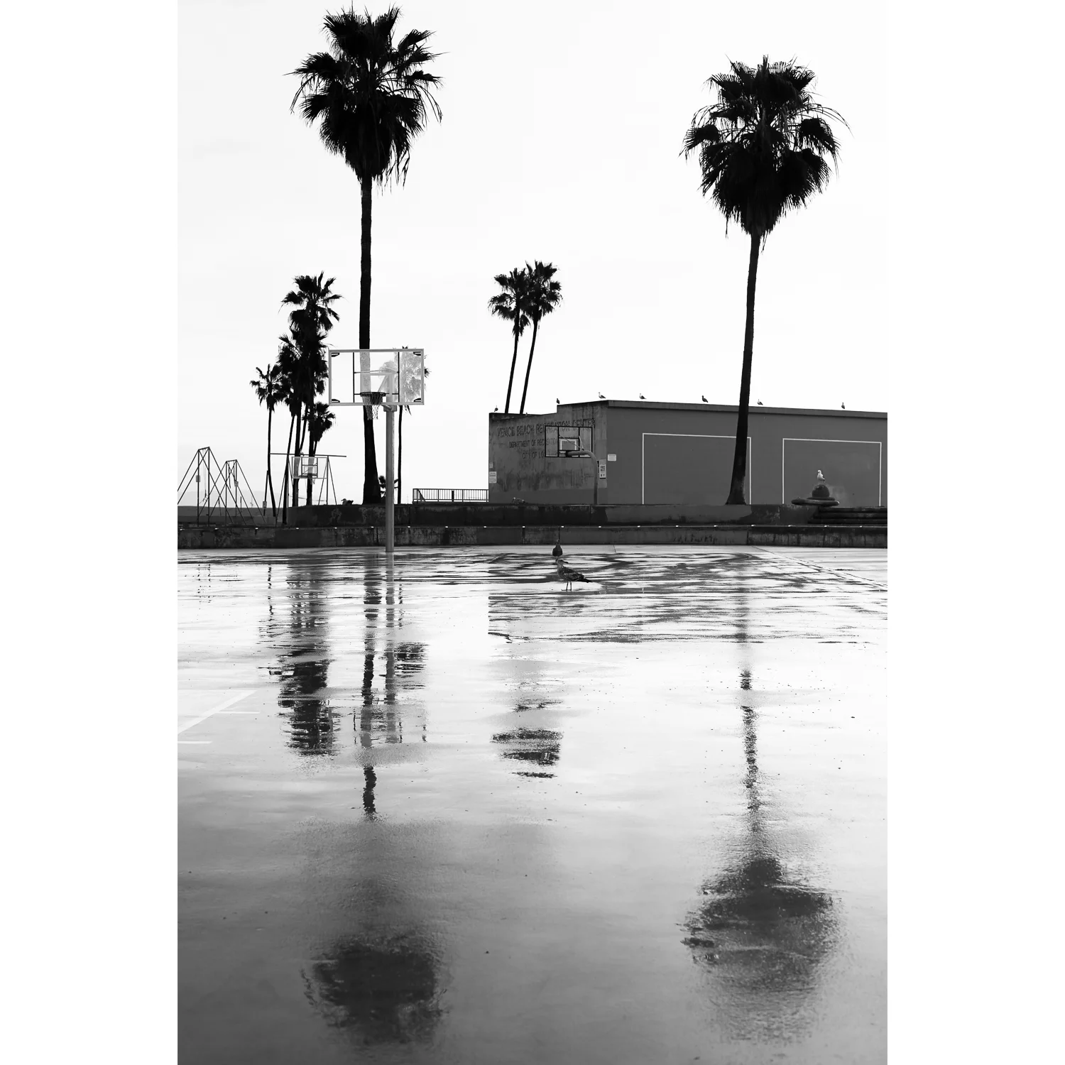 Muscle Beach Reflection 20180321 02.jpg