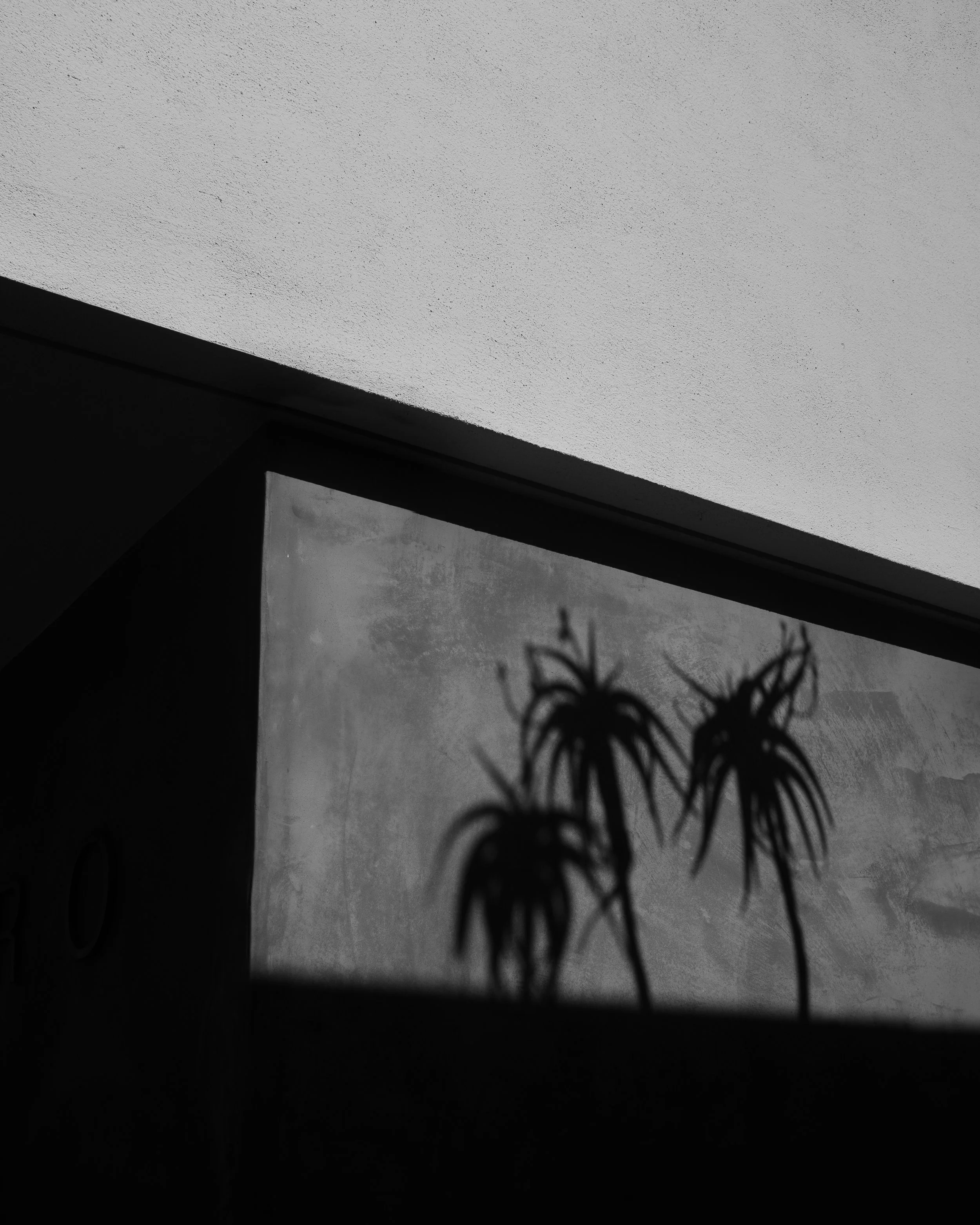 DSCF0793.jpg