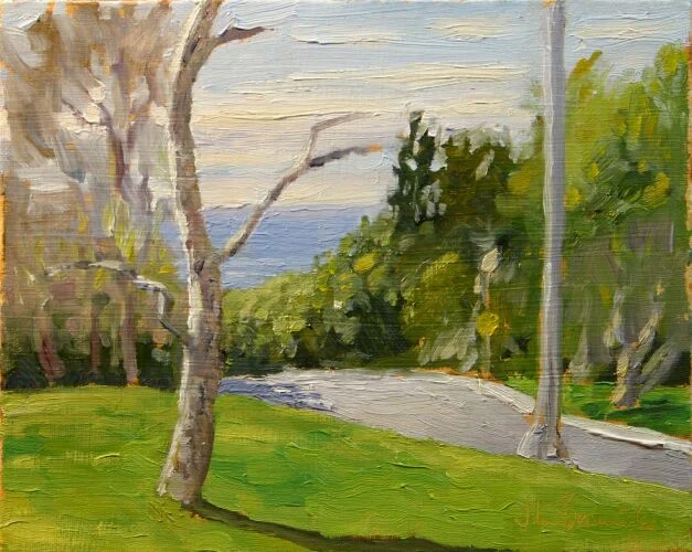 Canyon to the Sea, 2008
