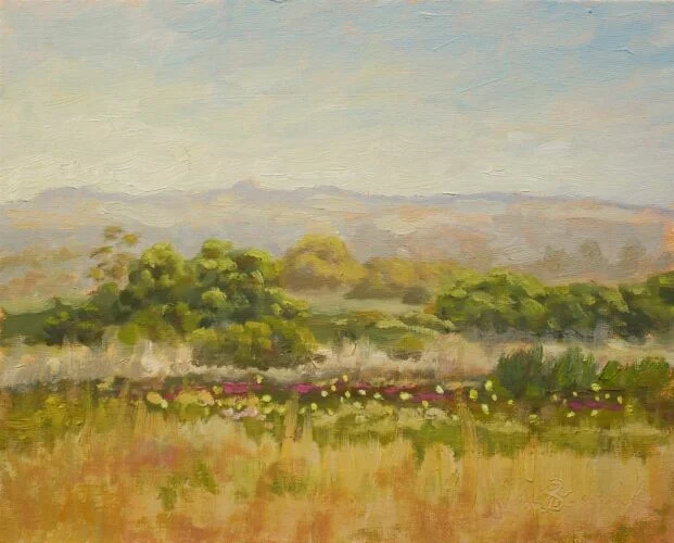 Wetlands, 2009
