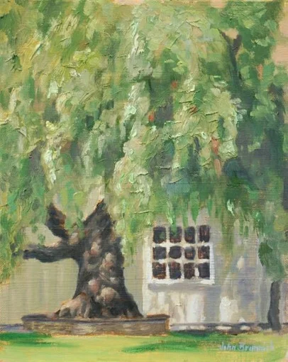 Will Rogers Willow, 2009