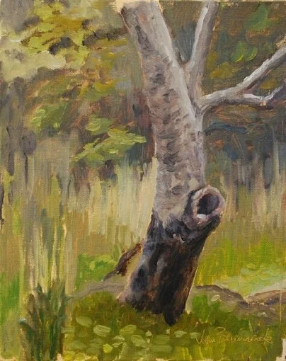 Solstice Canyon Survivor, 2009