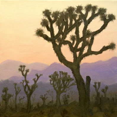 Joshua Tree, 2010