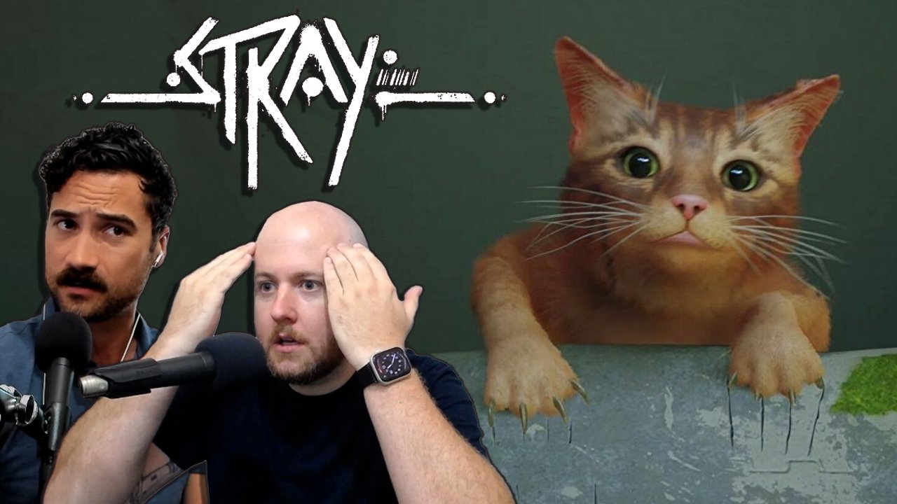 Stray' Review