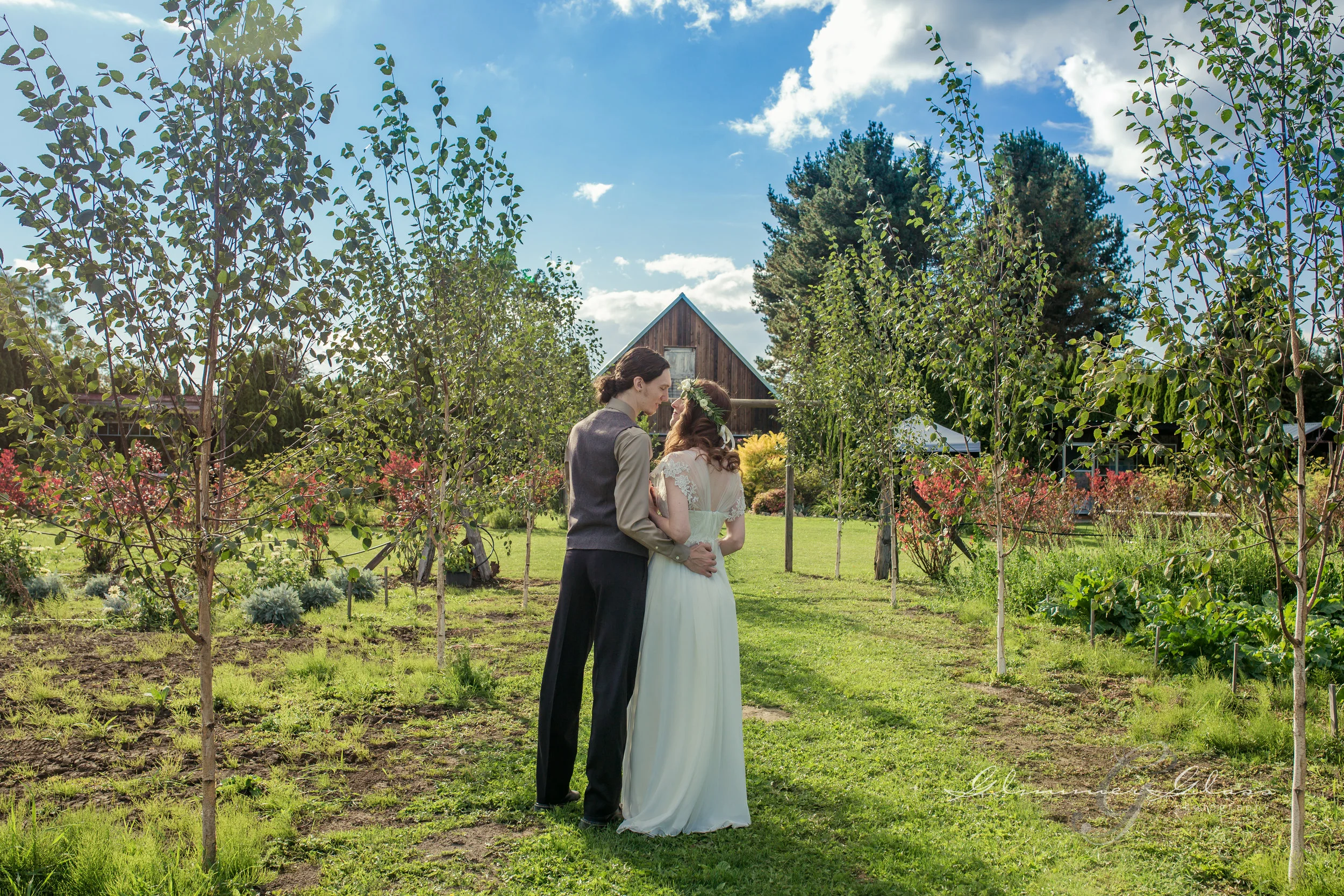 Weddings 4.jpeg