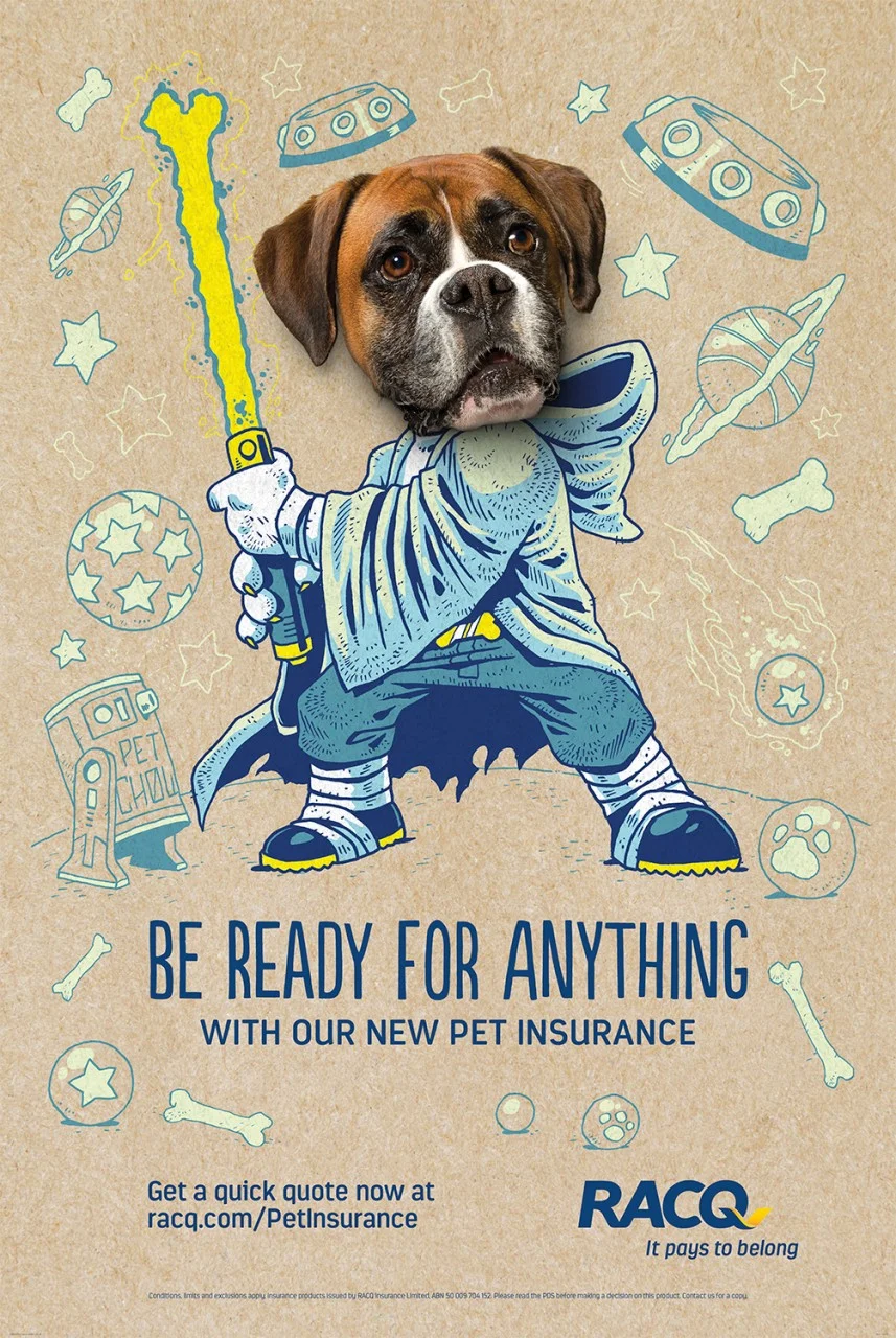 RACQ PET INSURANCE || SAPIENT