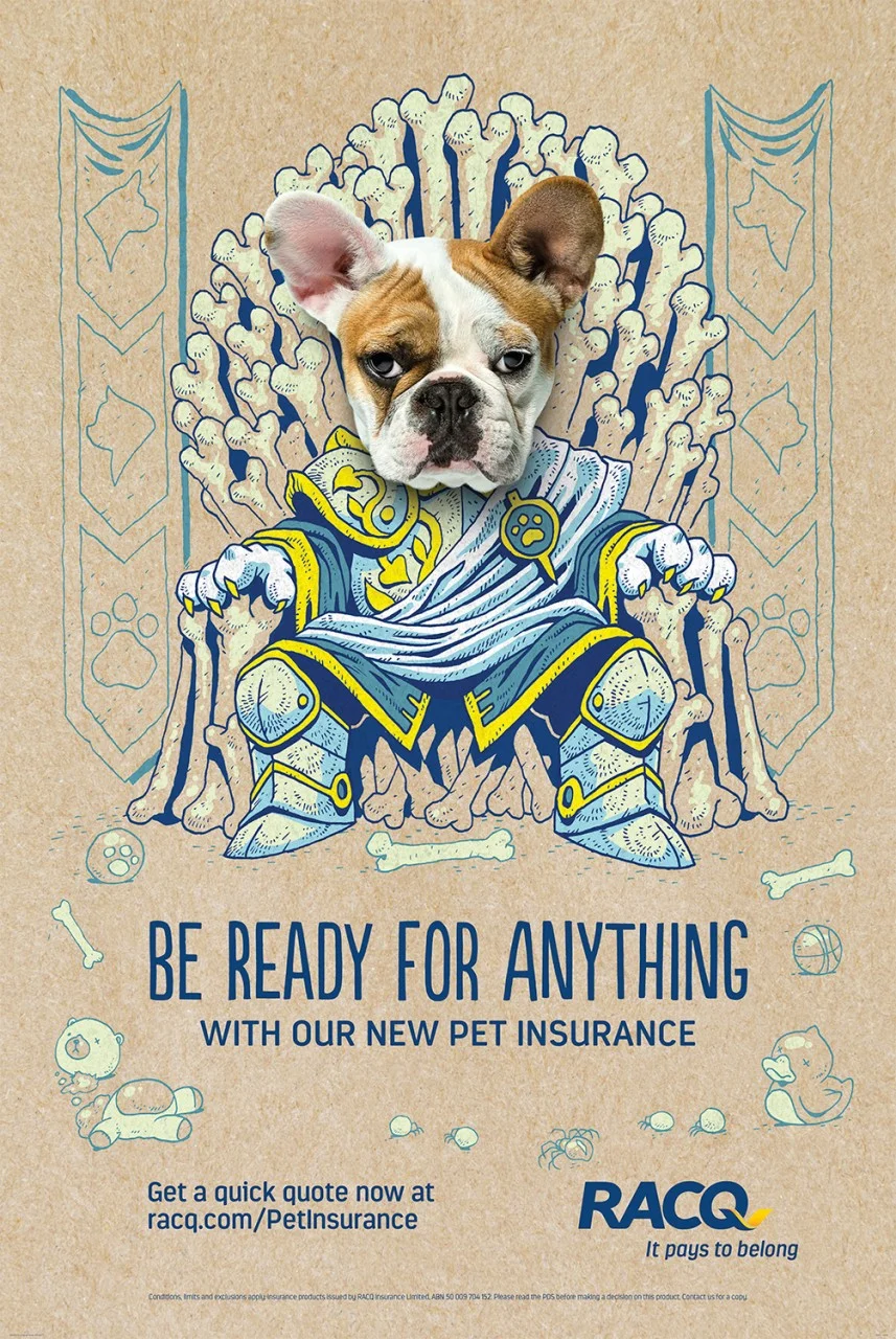 RACQ PET INSURANCE || SAPIENT