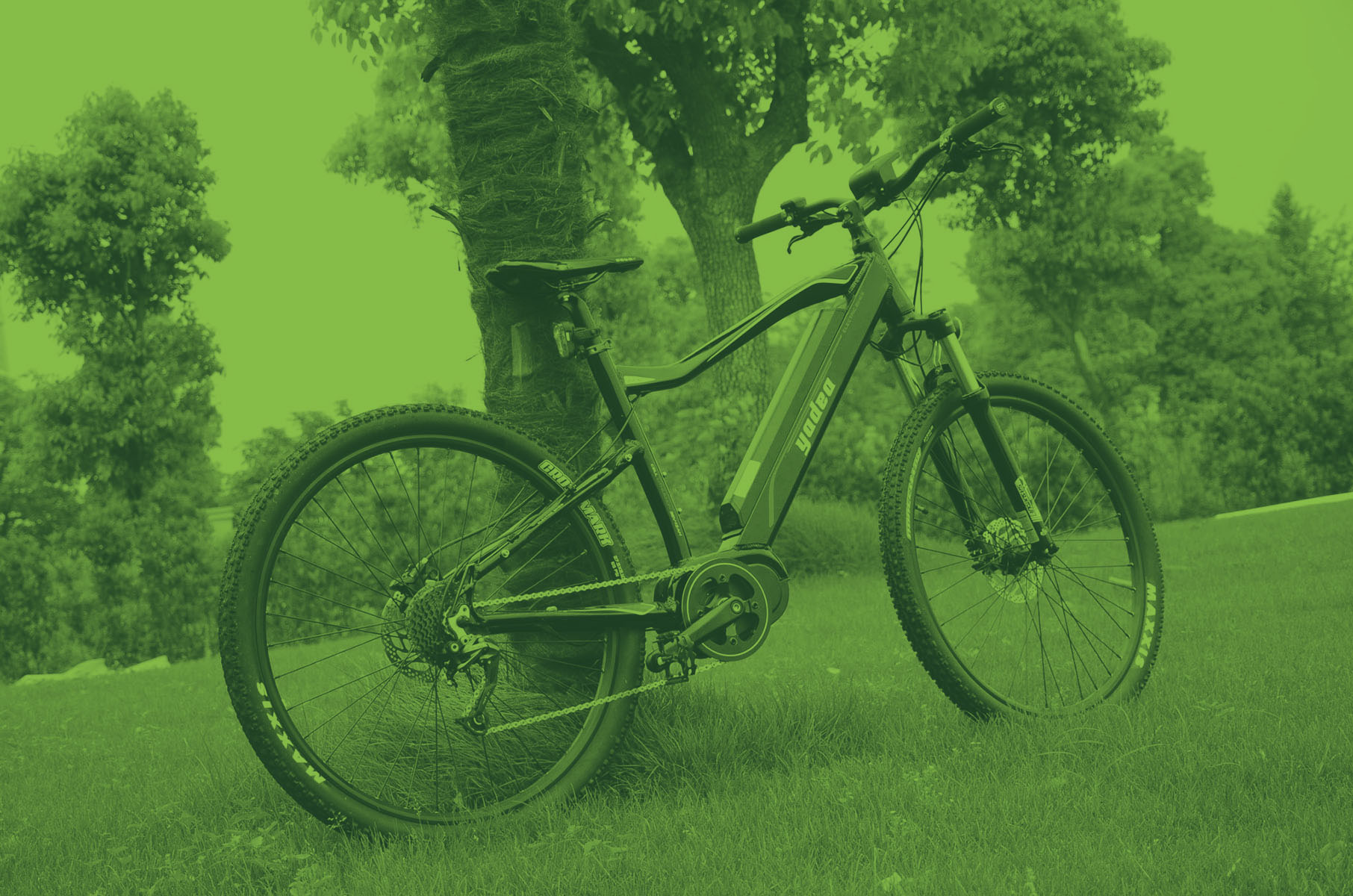 ebike.jpg