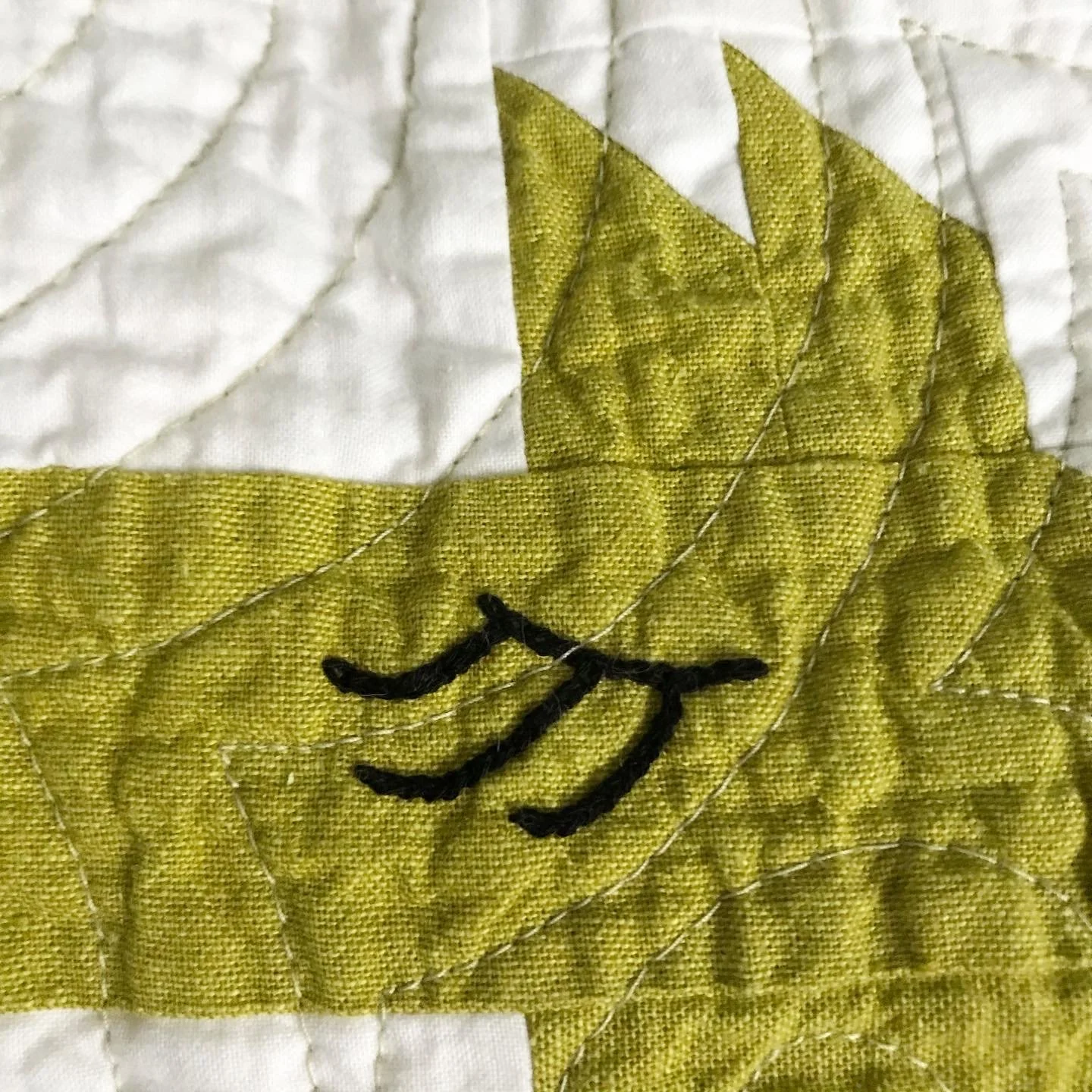 Llama eyelashes detail.JPG