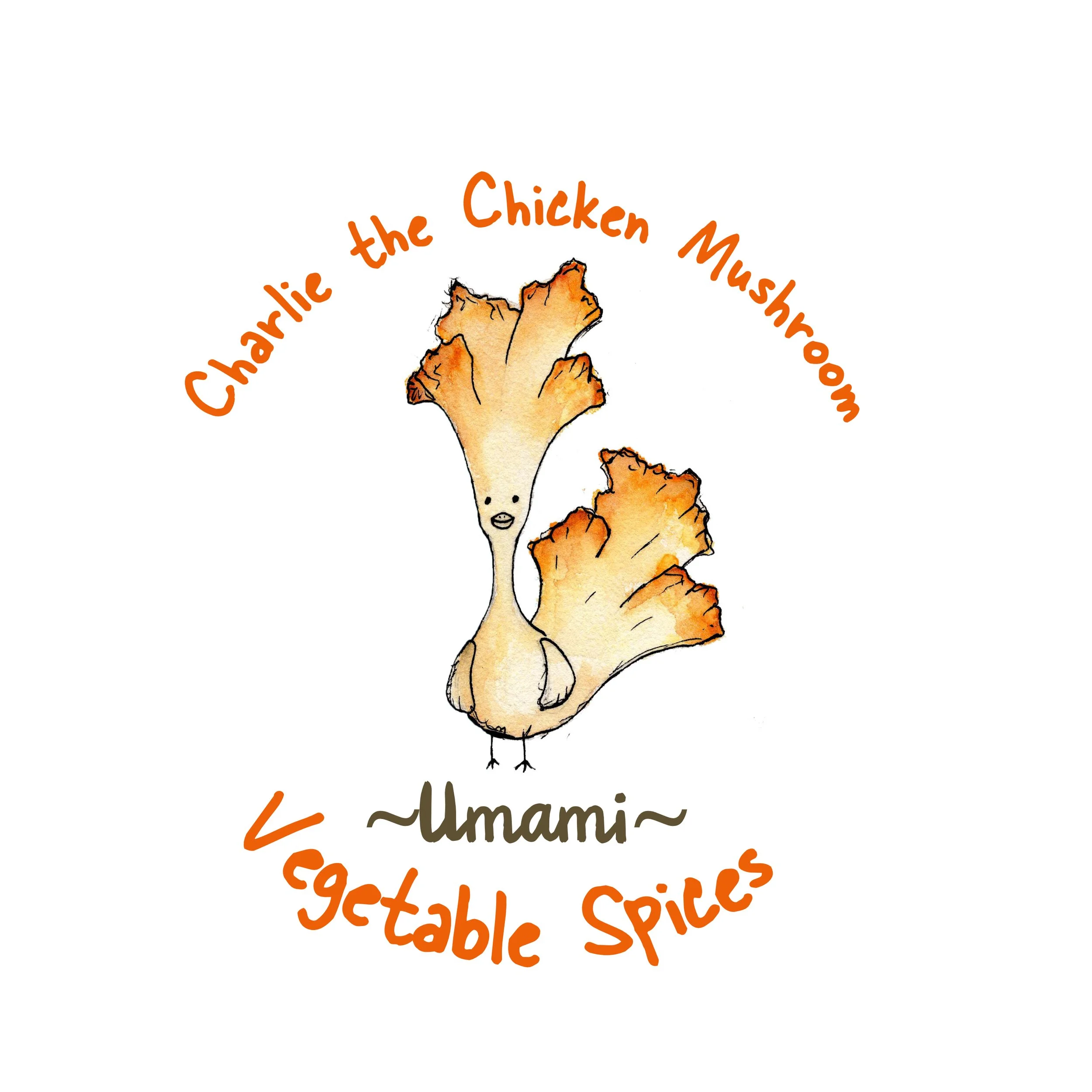 Charlie's Vegetable Spice- Umami.jpg