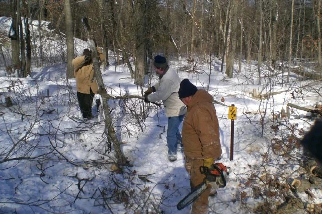 Clearing brush and undergrowth - January 2009