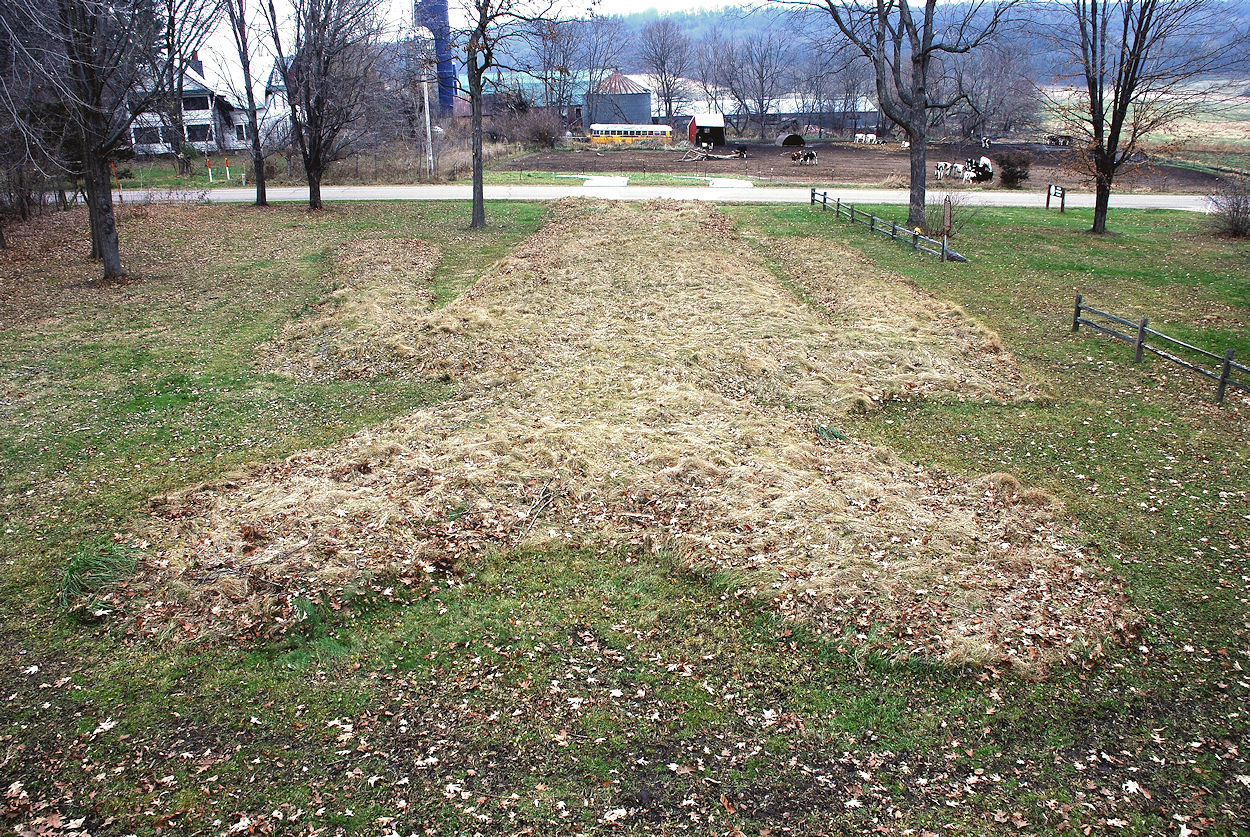 Man Mound November 2010