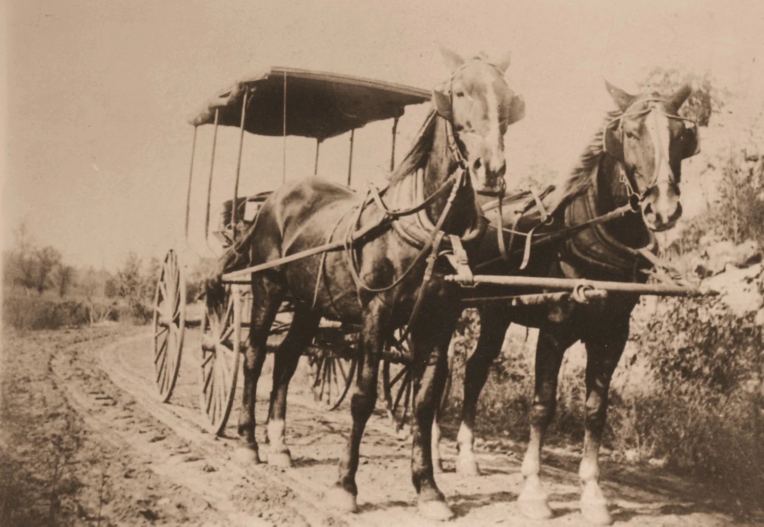 This stagecoach ran between Baraboo and Sauk City, about 15 miles