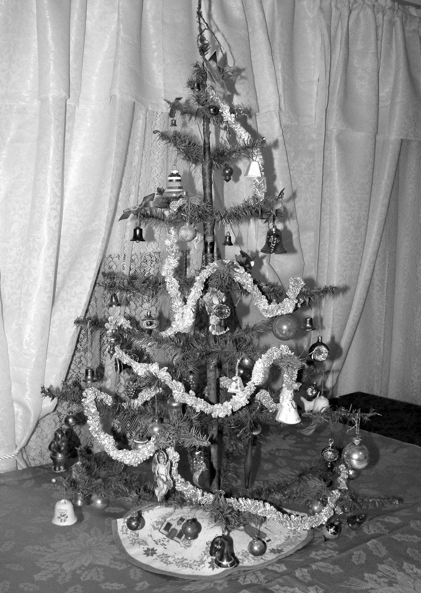 Feather Tree 2.jpg