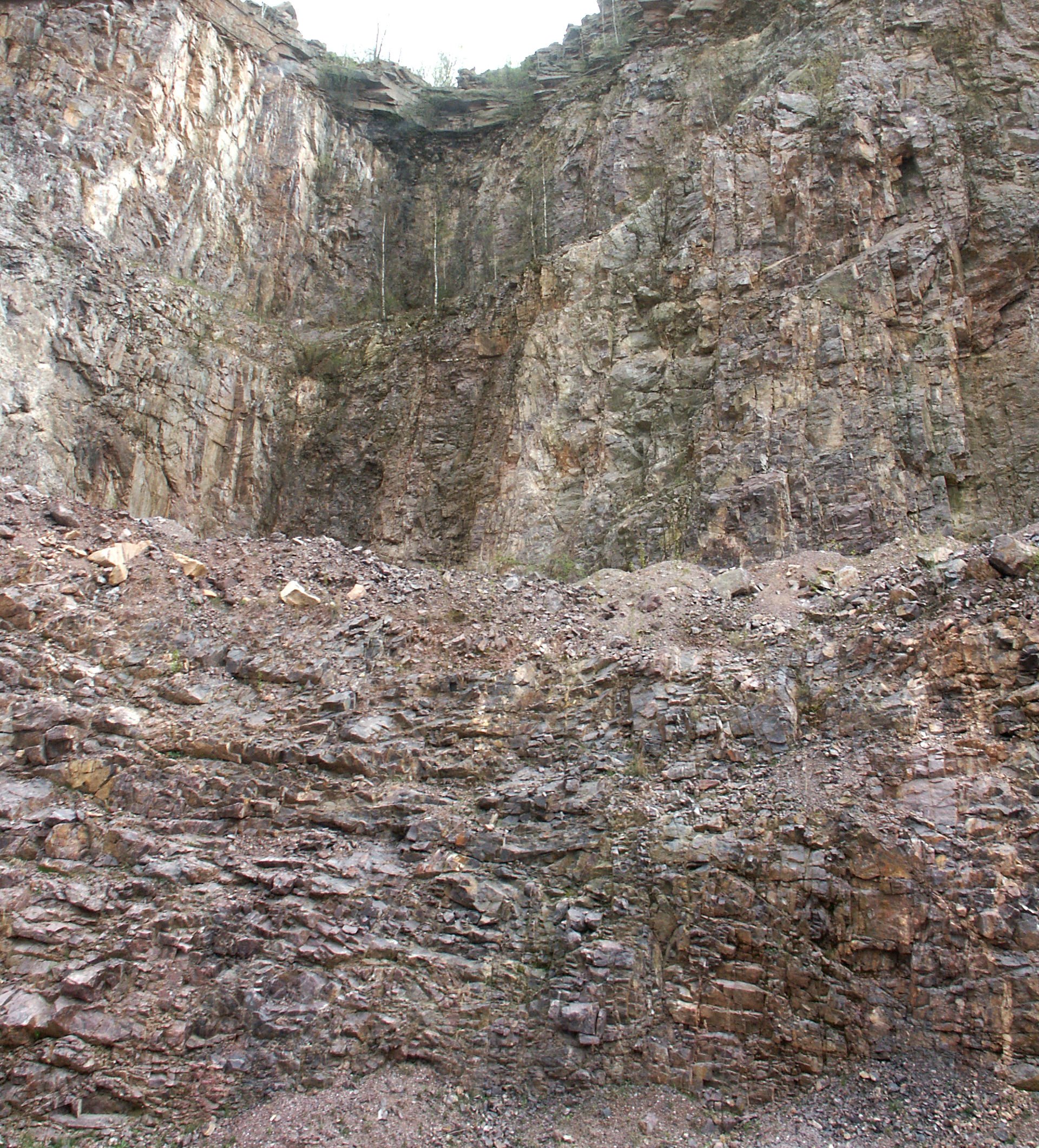 Quartzite Quarry 1, 4-23-06