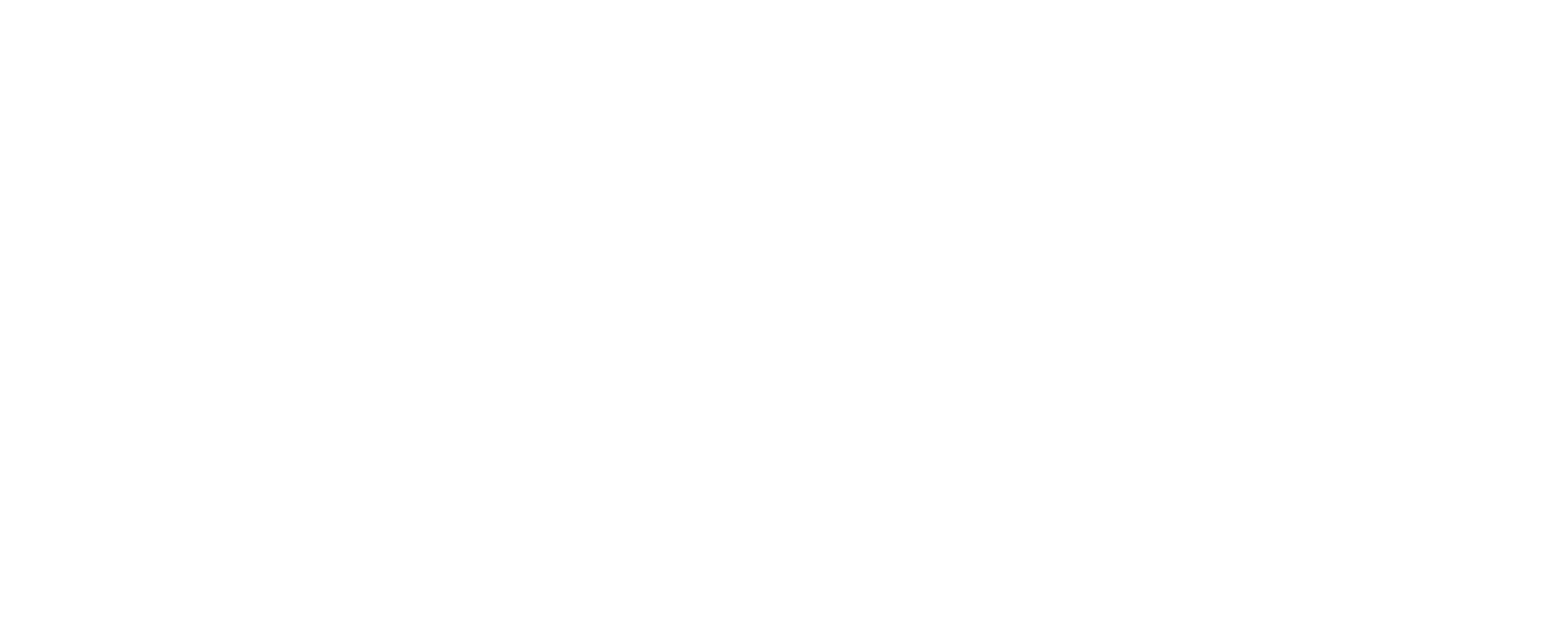 Client Integration Services