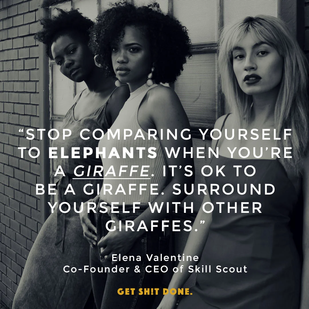 giraffe.jpg