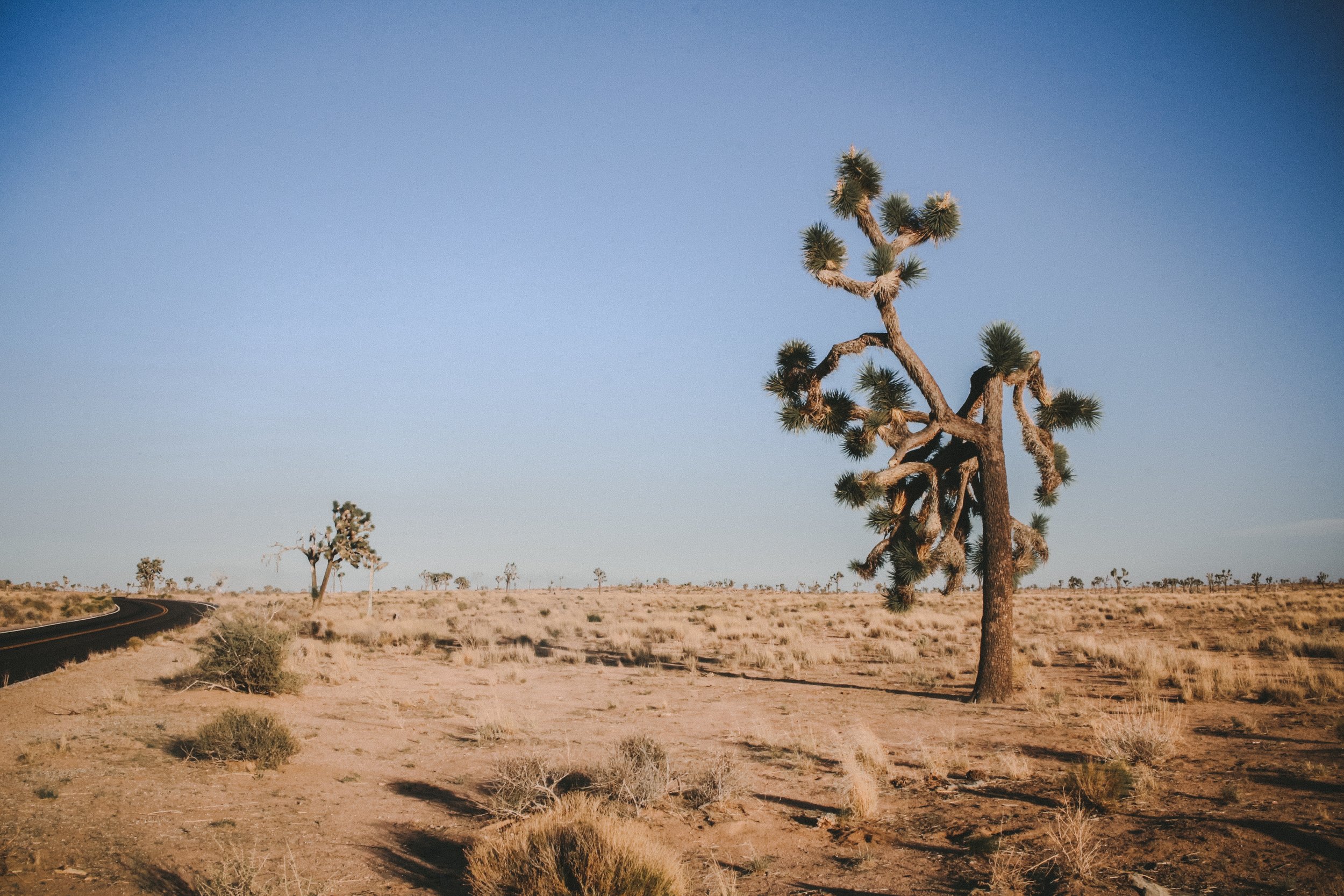 anqi-lu-783191-unsplash.jpg