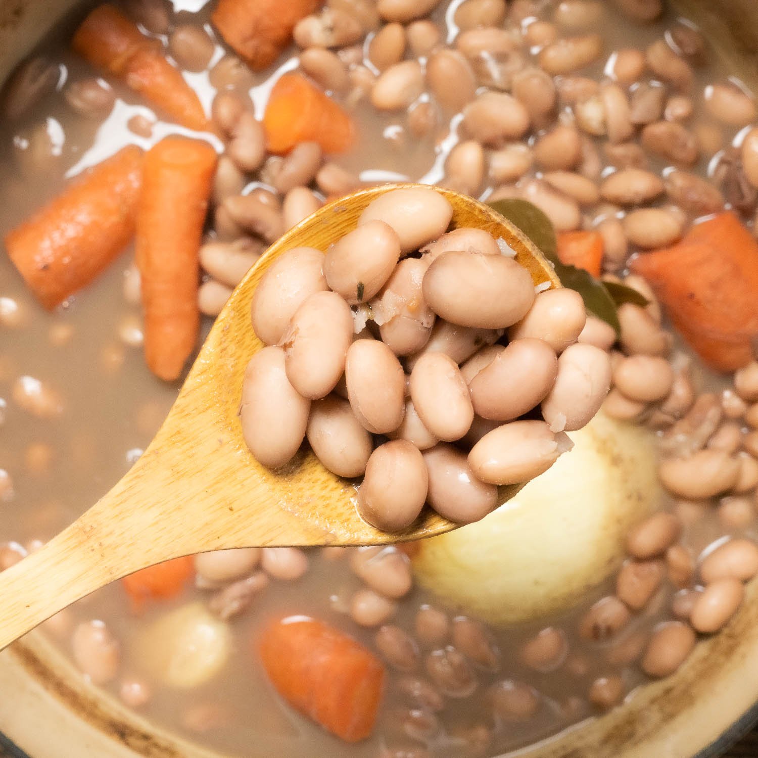 How To Cook Dried Cranberry Beans