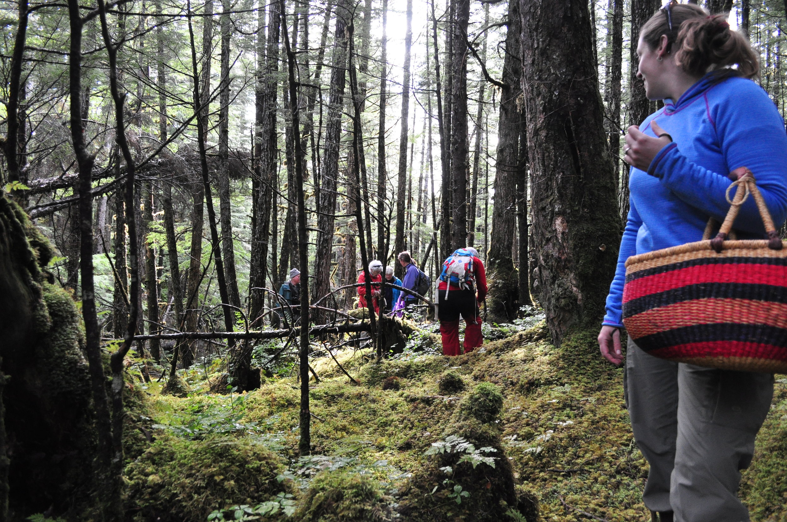 FungusForay_USFS (2).JPG