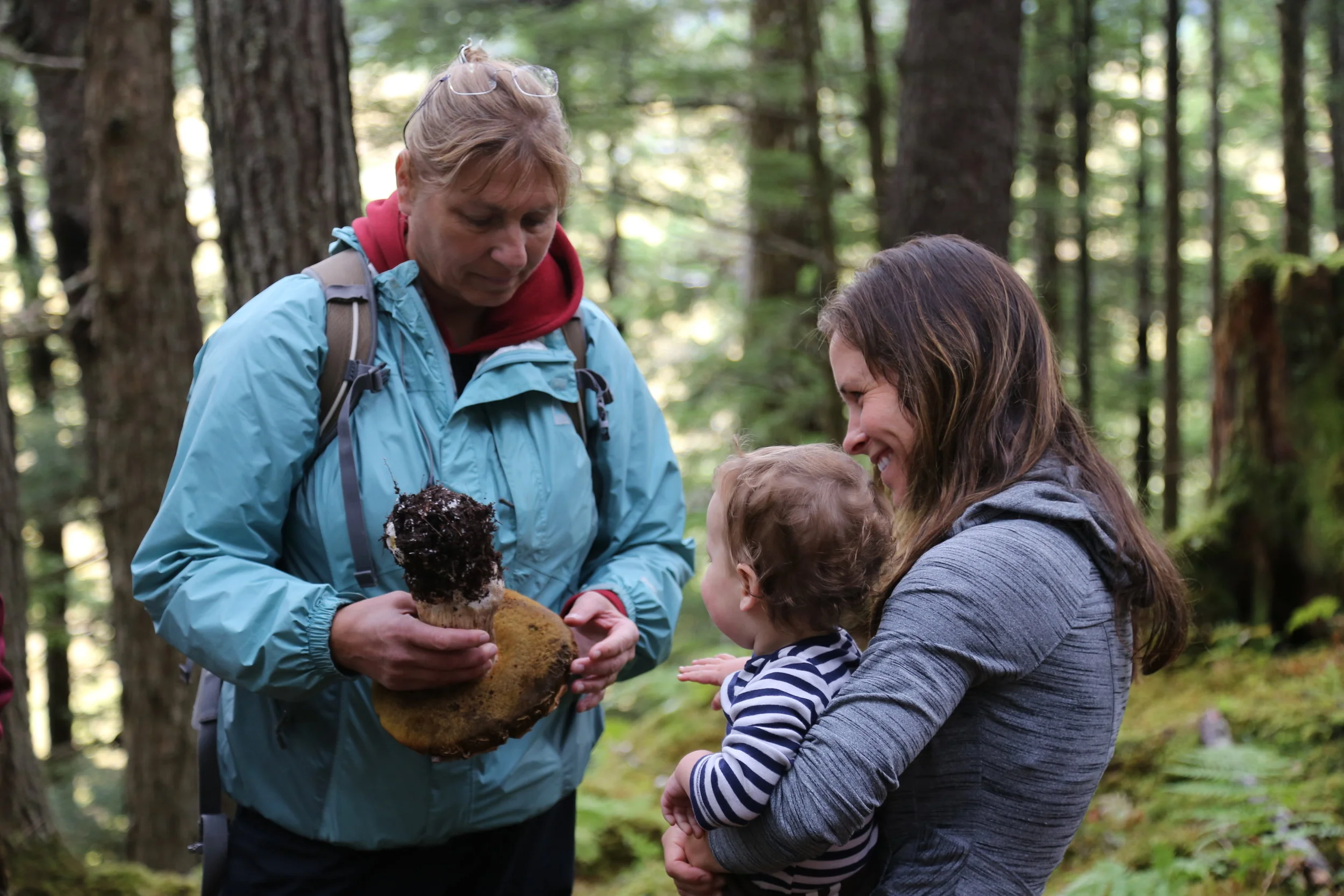 FungusForay_USFS_NickDocken (5).JPG