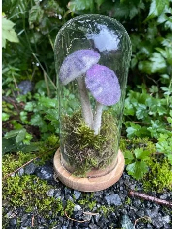 Wet Felted Mushroom in a Terrarium Workshop
