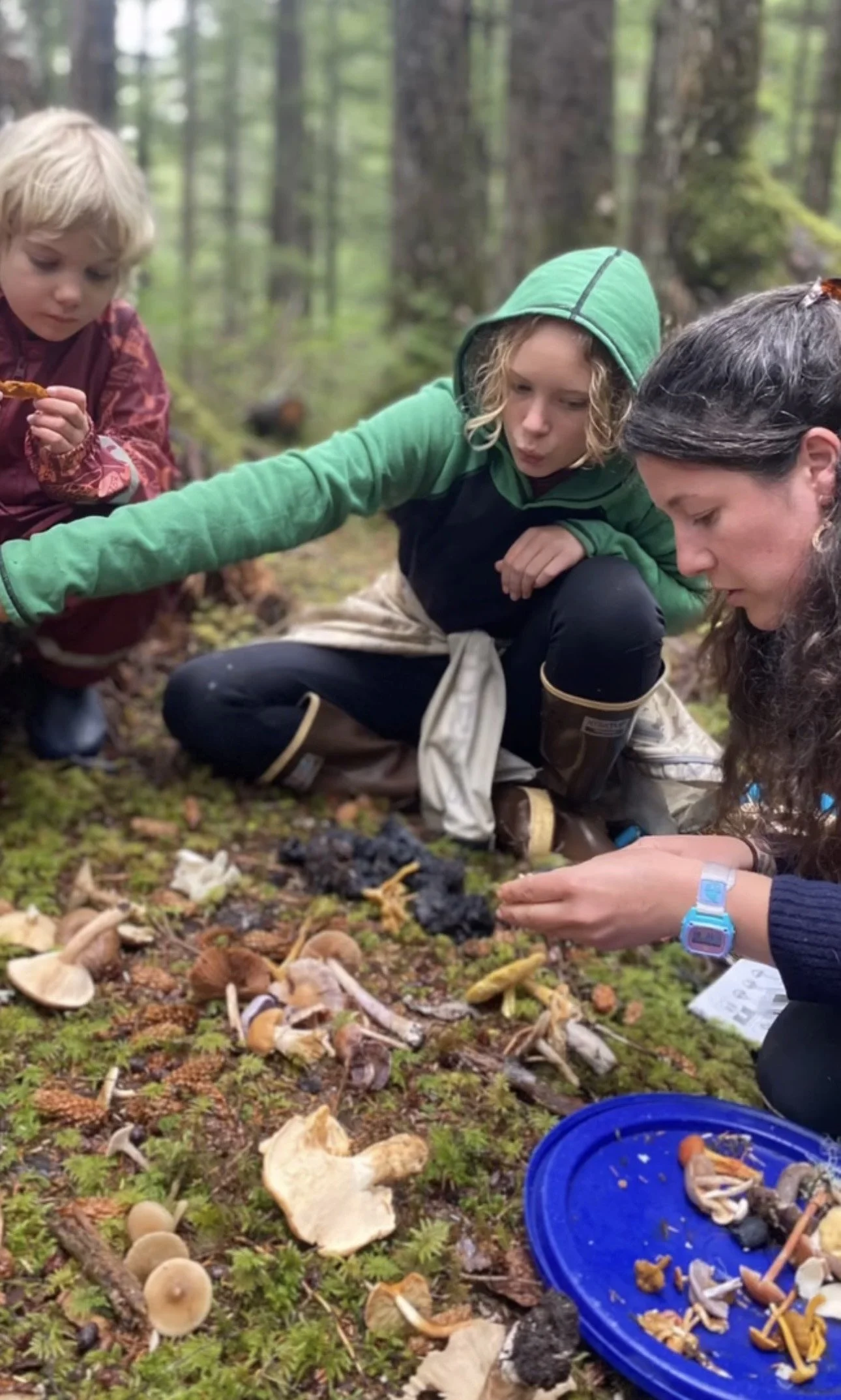 Children's Mushroom Foray