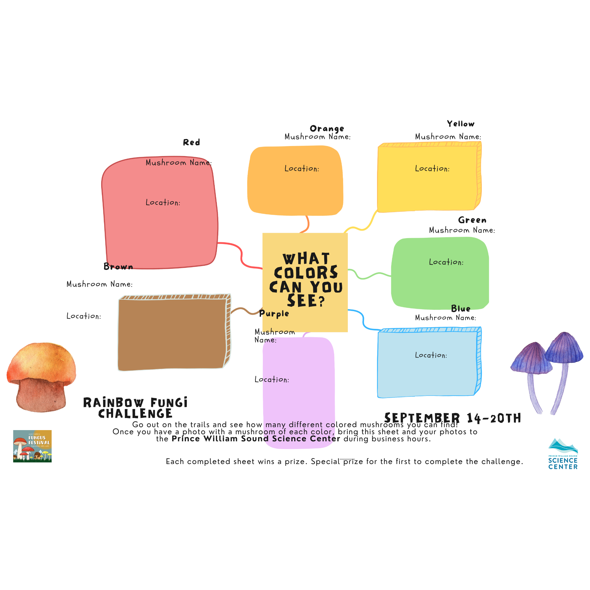 Rainbow Mushroom Challenge