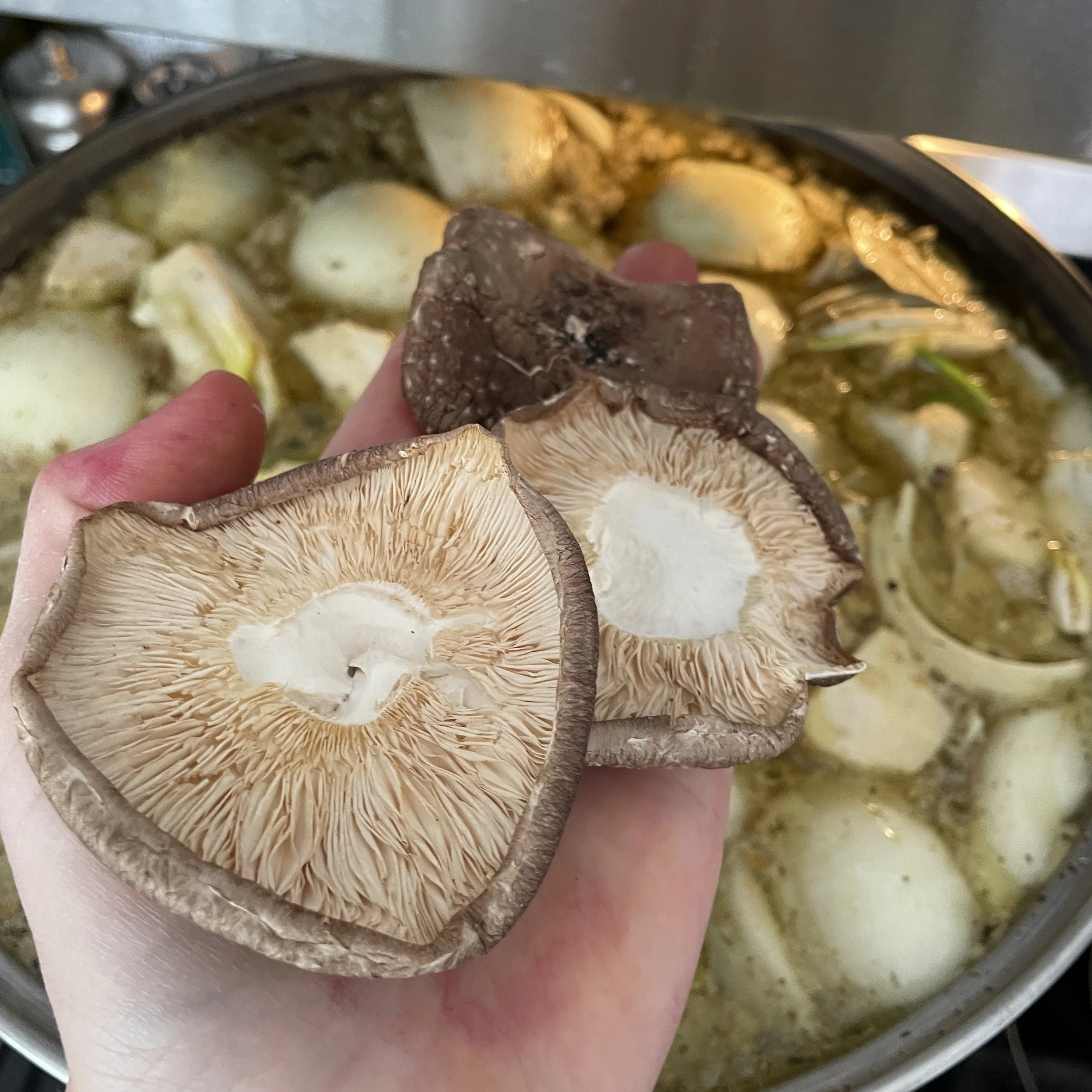 Bone Broth Shiitake.JPG