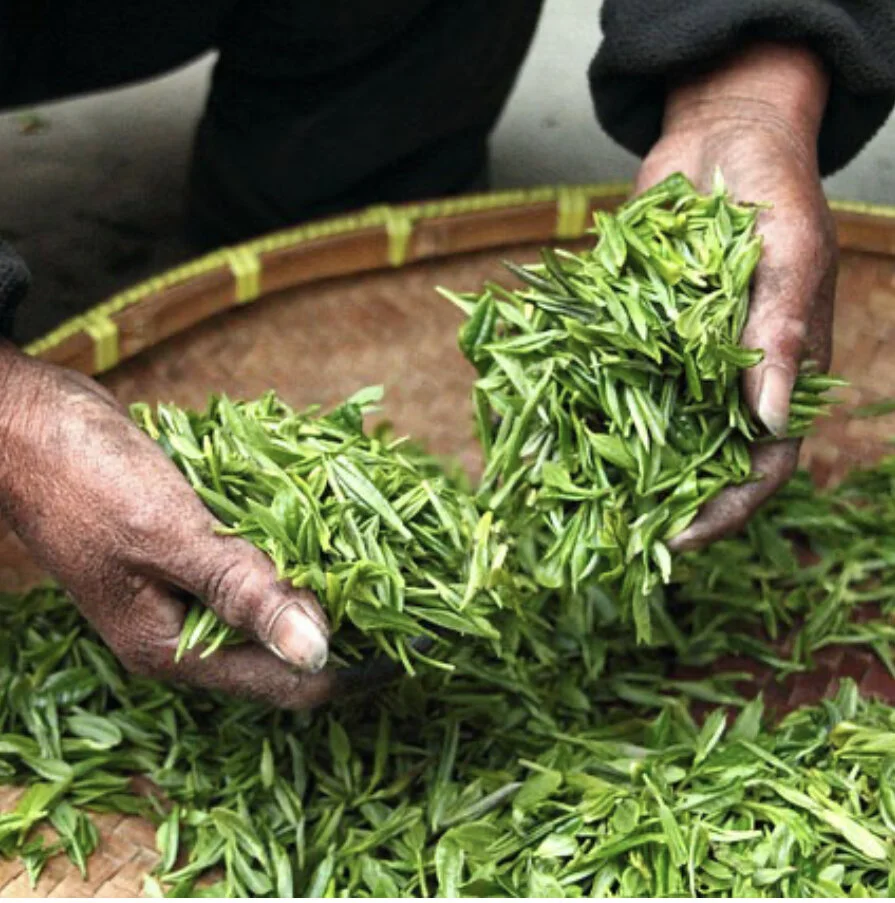 3B1B63D7-9D3C-46A7-A1F8-612B638CC791