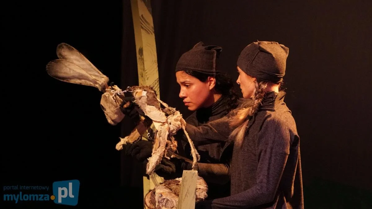 Puppeteer - PACKRAT. Created by Concrete Temple. Dir. Renee Phillippi. 39th International Valise Festival in Lomza, PL 2026.