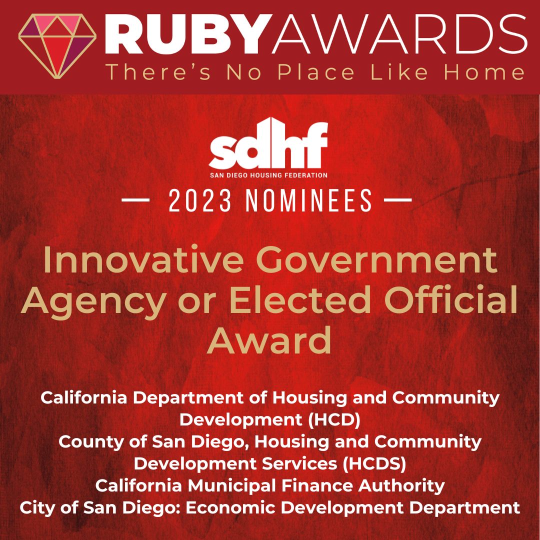 Innovative Government Agency or Elected Official Award.png