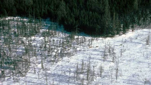 news_january19_1c.jpg