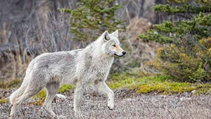 news_april19_1m.jpg