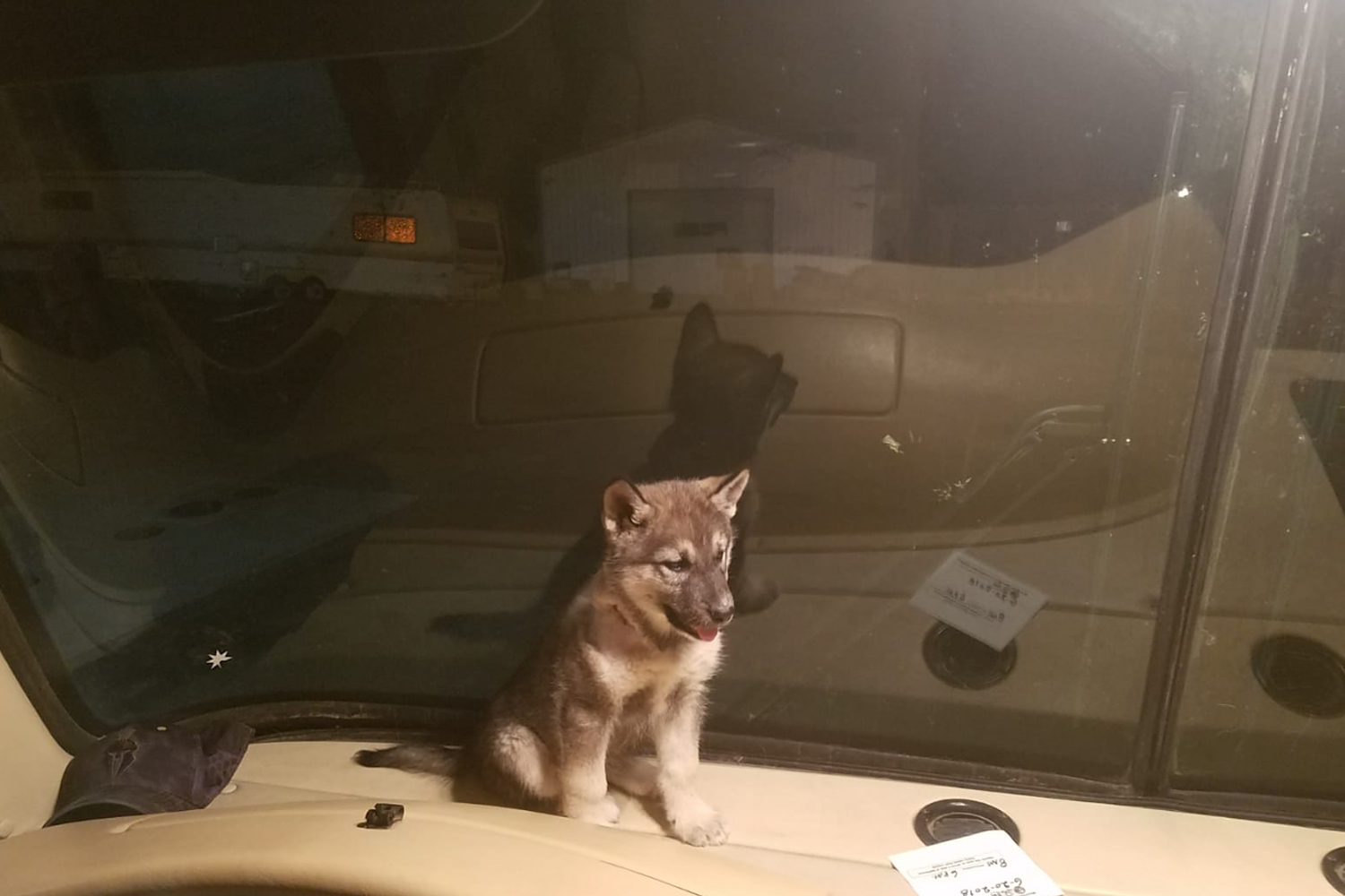 Little Ryder rides up front