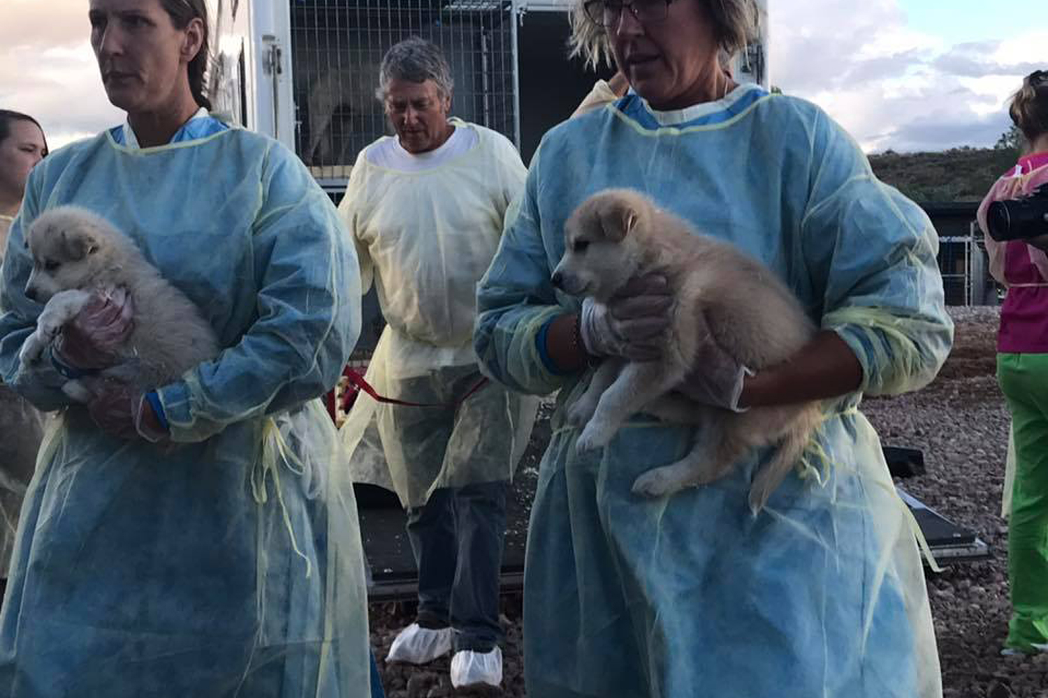 Unloading pups in AZ