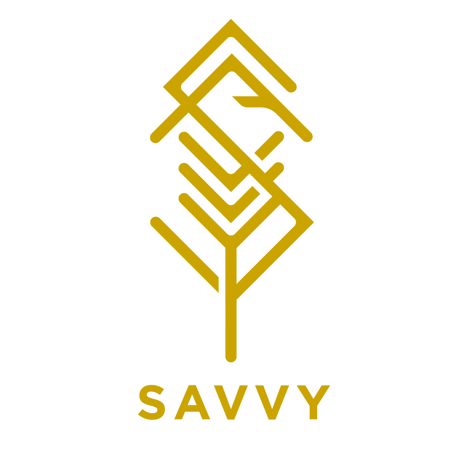 SAVVY LLC